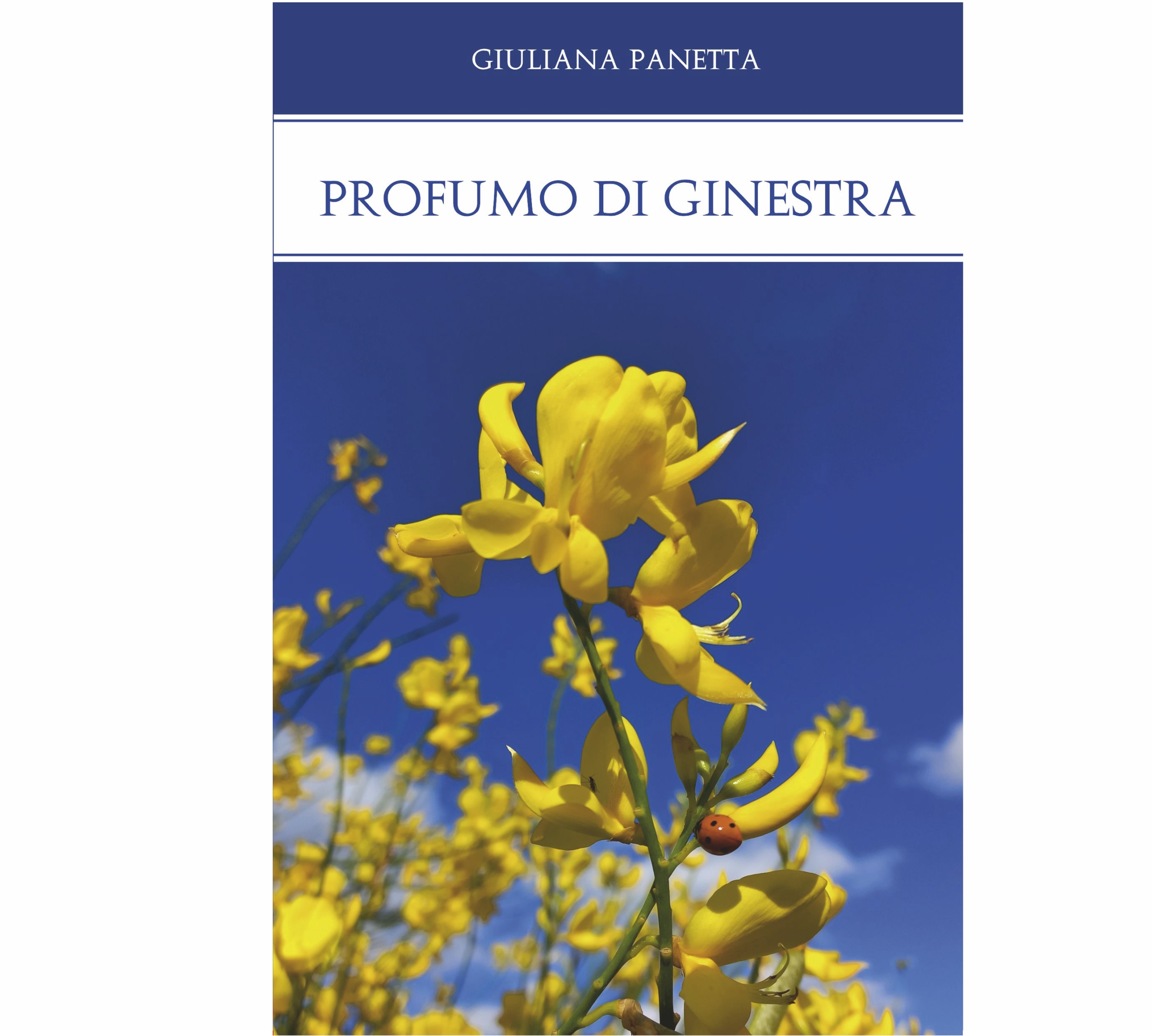 Profumo di ginestra